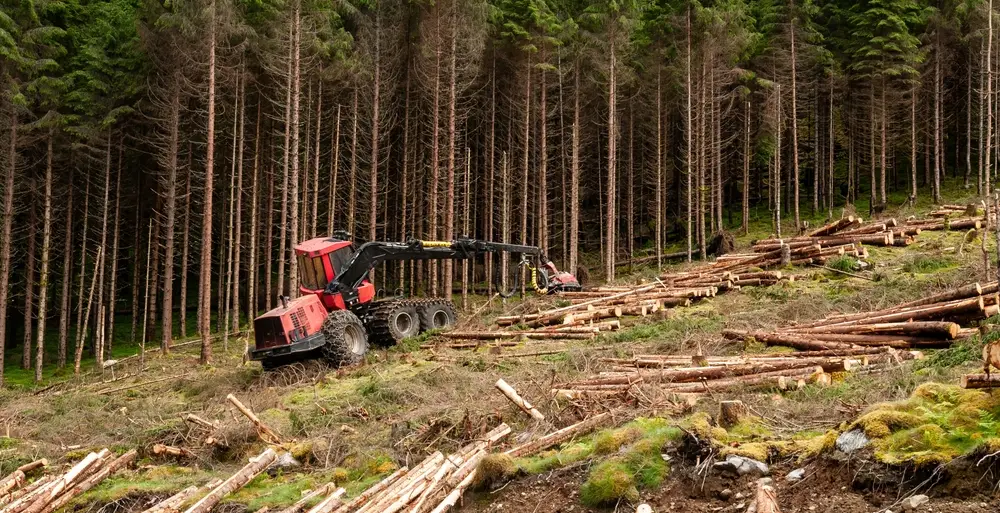 Maximizing operational efficiency with logging winches