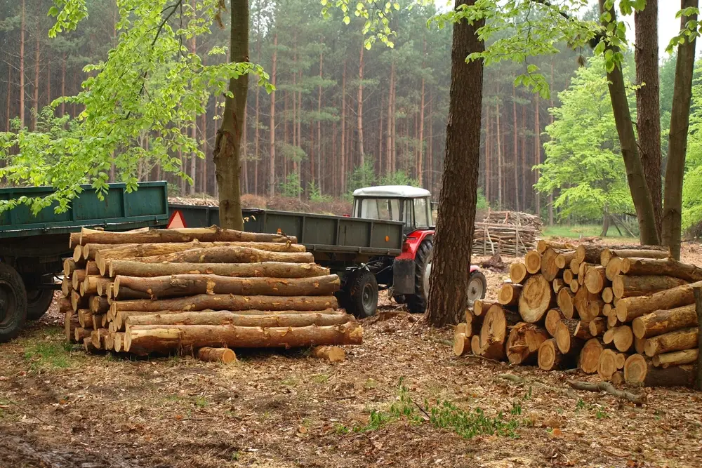 Maximizing operational efficiency with logging winches