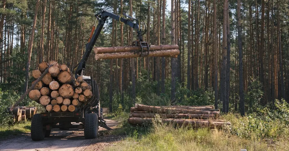 forestry equipment