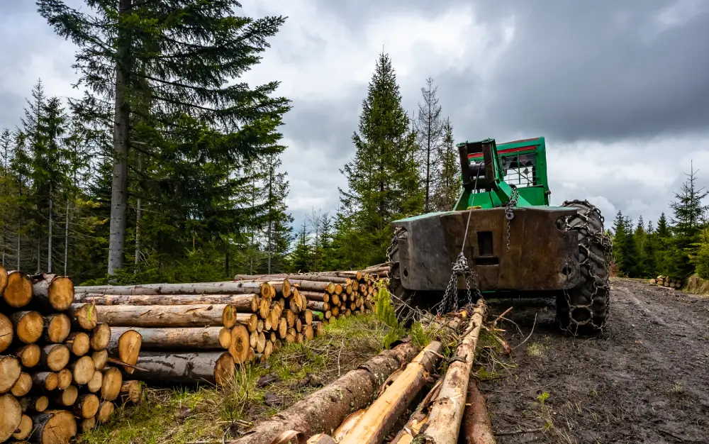 log winches