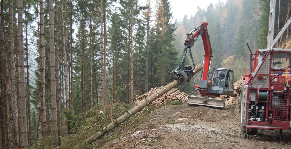 logging winches in forestry