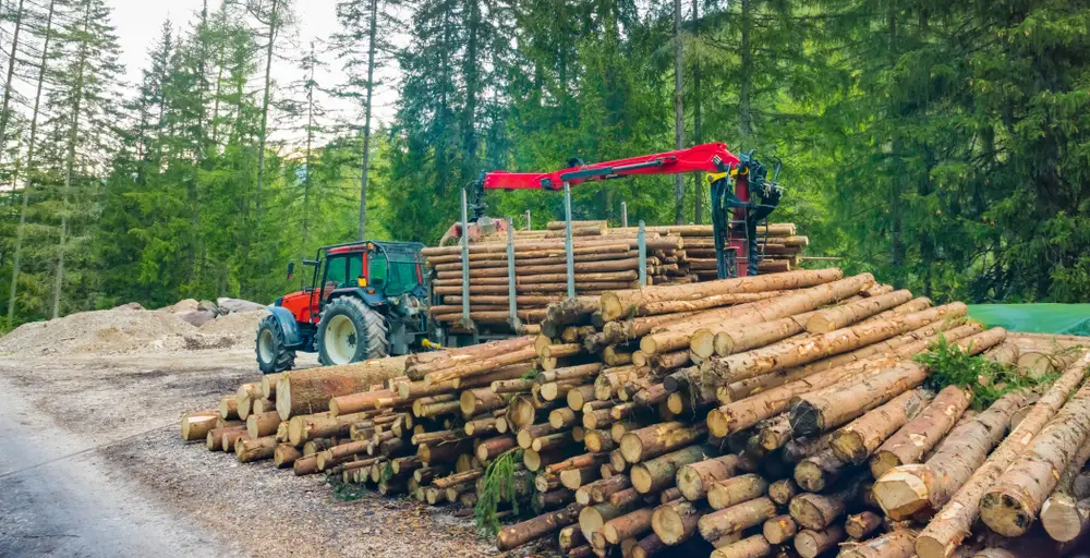 logging winches in forestry