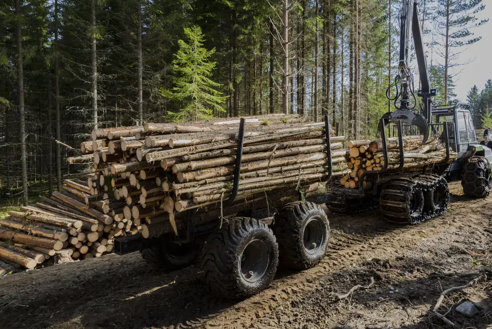 logging winches in forestry