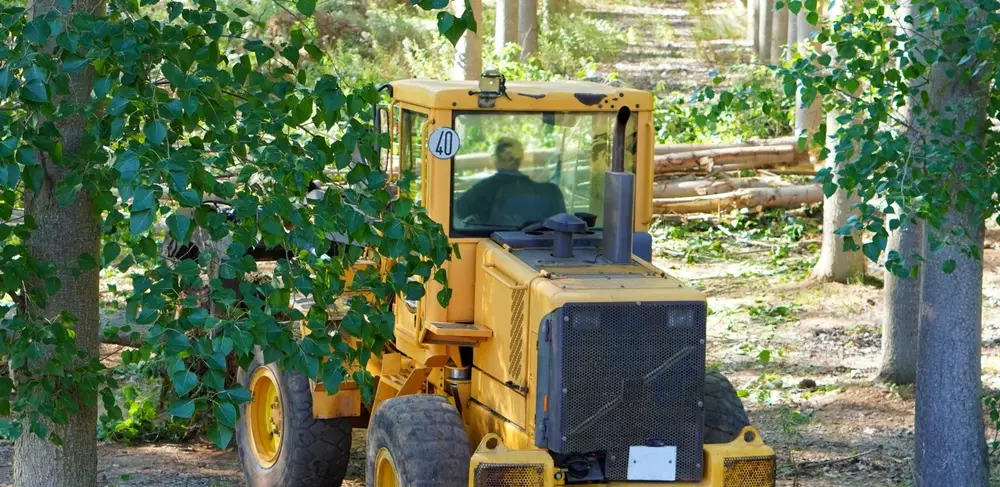 right logging winch