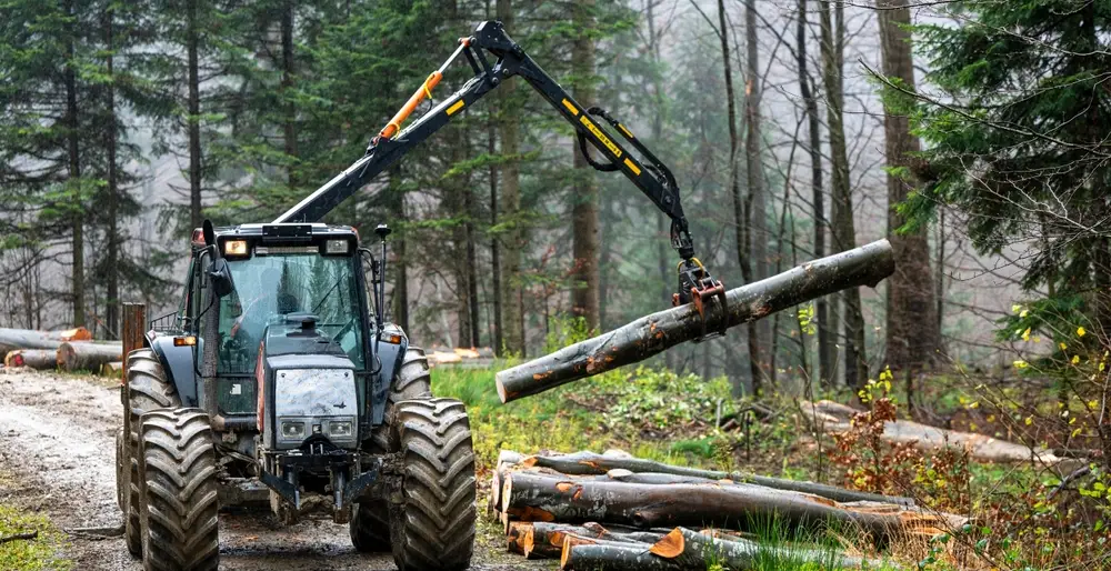 Environmental considerations in forestry