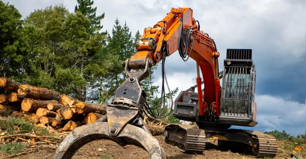 Environmental considerations in forestry