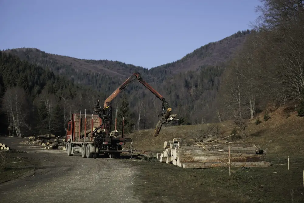 Environmental considerations in forestry