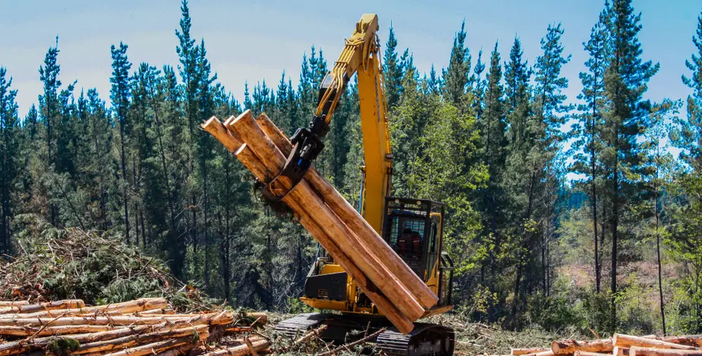 forestry equipment supplier