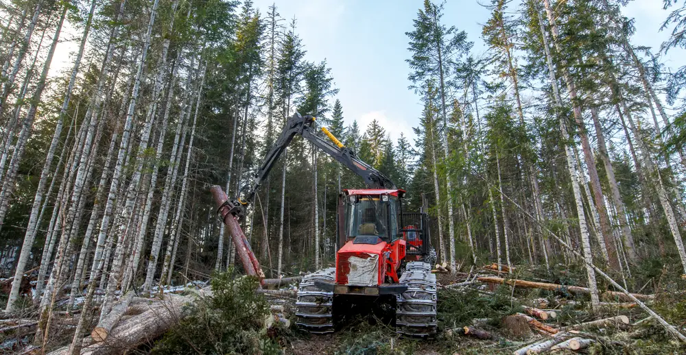 forestry equipment supplier