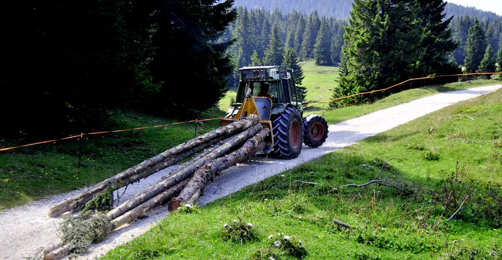 logging winch