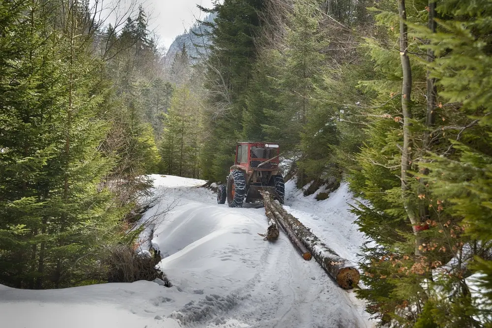 logging winch