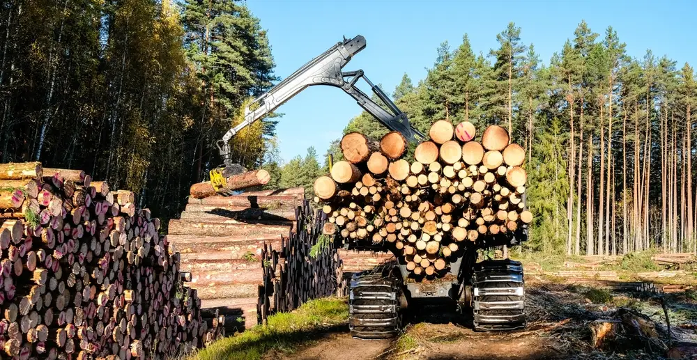 forestry machinery