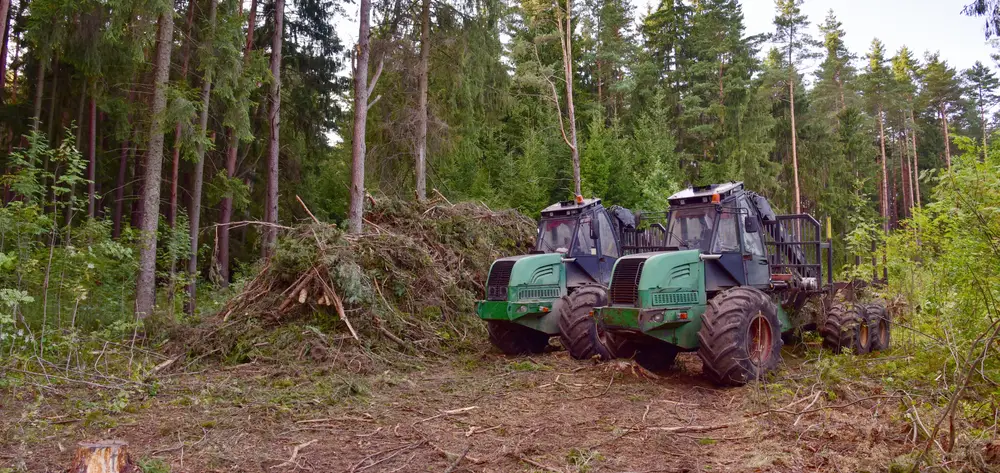 forestry winches