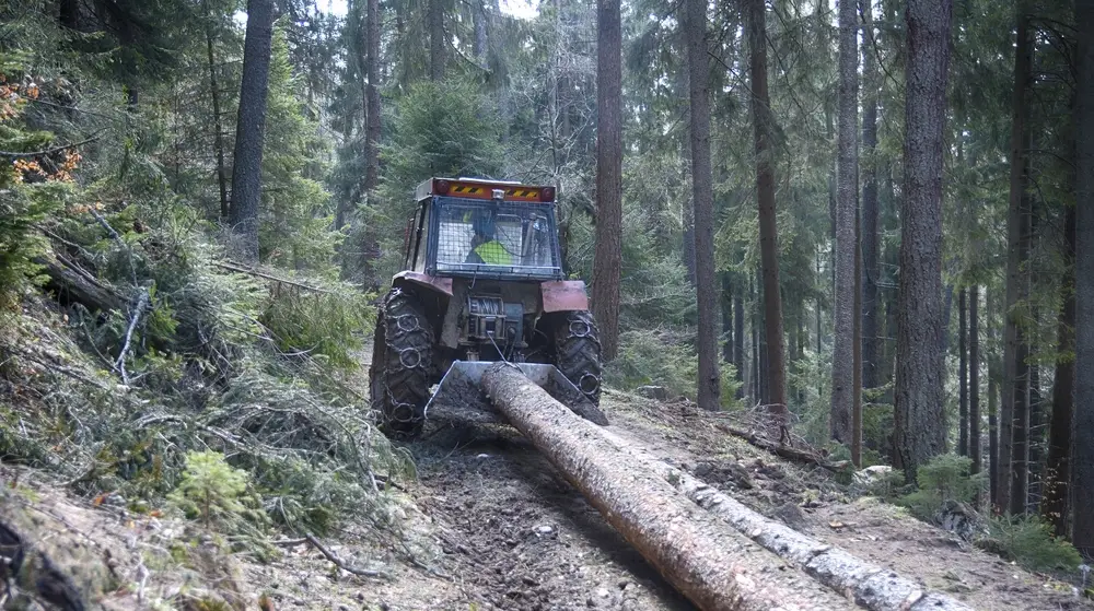 forestry winches