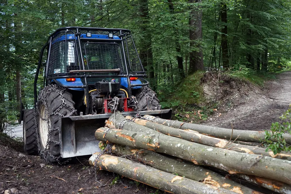 forestry winches